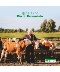 Campanhas Cativa